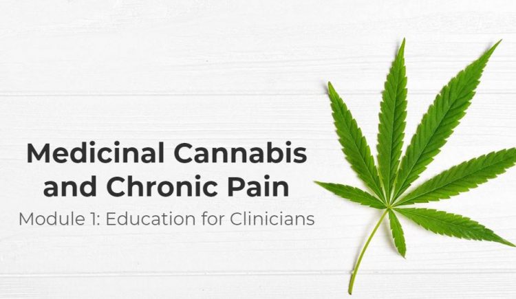 Medicinal Cannabis And Chronic Pain | Addictions, Drug & Alcohol Institute