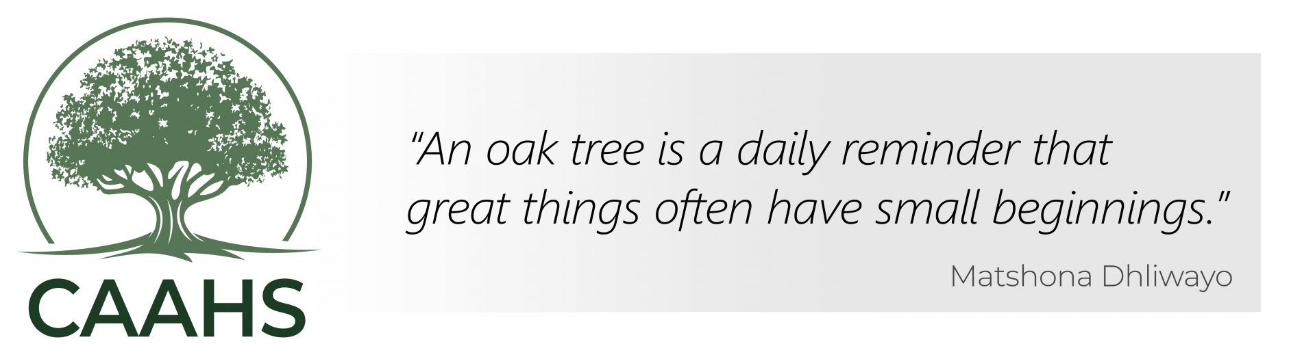 Oak tree CAAHS logo with quote "An oak tree is a daily reminder that great things often have small beginnings" Matshona Dhliwayo