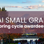ADAI Small Grants Spring Cycle Awardees