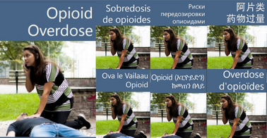 Cover of the Opioid Overdose brochure showing several of the available languages