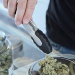 Budtender weighing out amount of cannabis