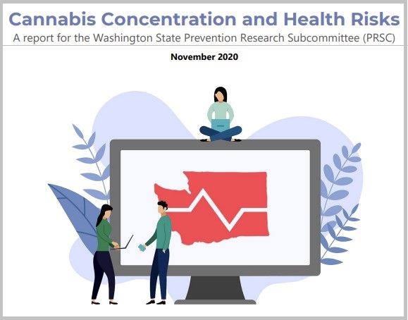 Cannabis Concentration and Health Risks report cover