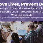 Improve Lives, Prevent Deaths guide