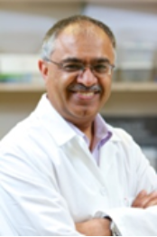 Jashvant (Jash) D. Unadkat, Ph.D.