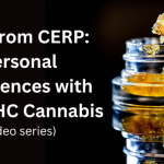 New from CERP: Personal experiences with high-THC cannabis (video series)